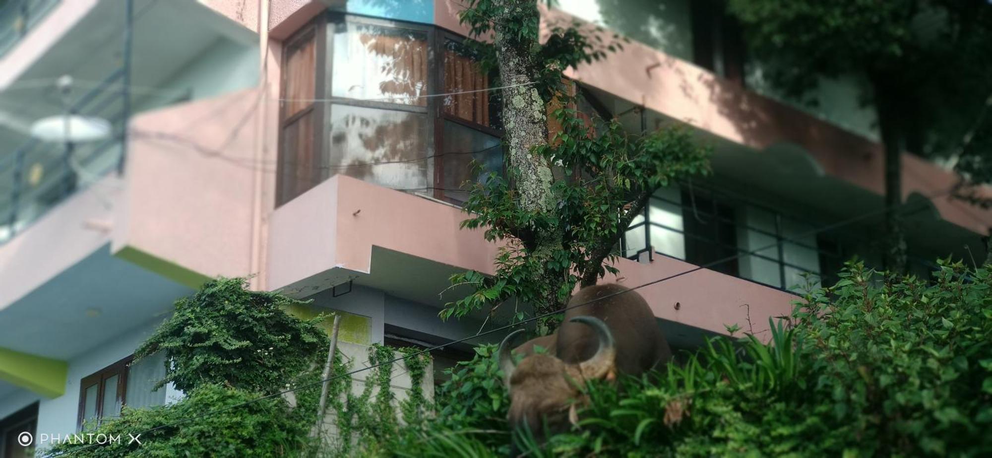 Sugan Residancy Kodai Kodaikanal
